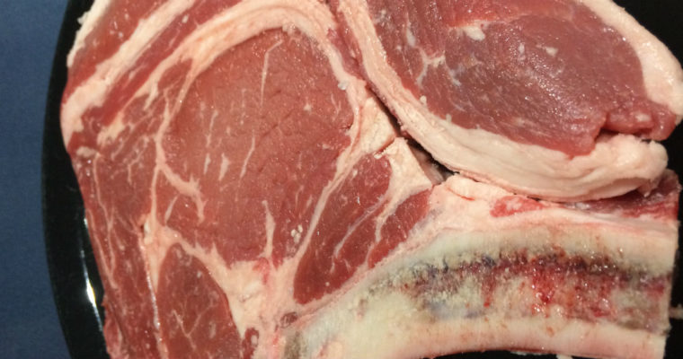 Day 2 of 365 | The Carnivore Diet Experiment!