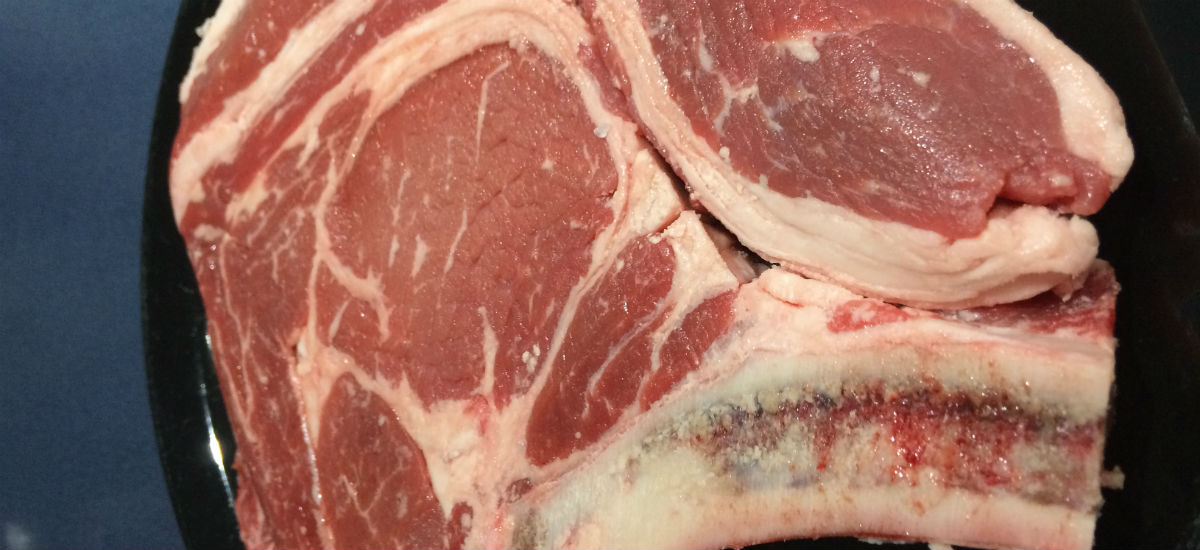 steak-carnivore-diet-2-of-365