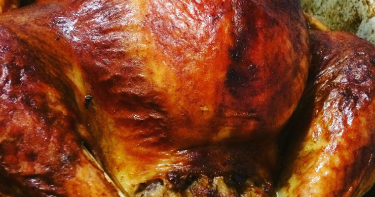 Day 7 of 365 | The Carnivore Diet Experiment!