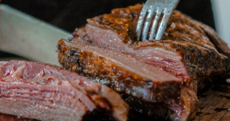 Day 41 of 365 | The Carnivore Diet Experiment!